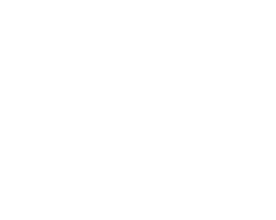 honda OEM Parts