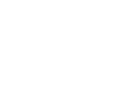 suzuki OEM Parts